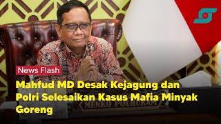 Mahfud: Kejagung dan Polisi, Segera Tuntaskan Kasus Mafia Minyak Goreng