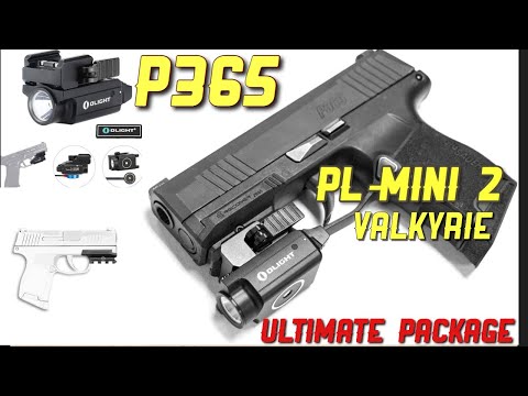 Taran Butler Reviews the Sig Sauer P365
