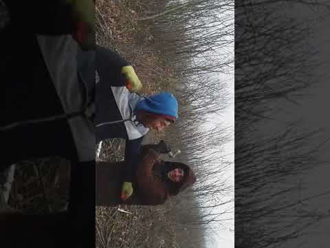 La muncă cu prietenii mei la Ciucurova