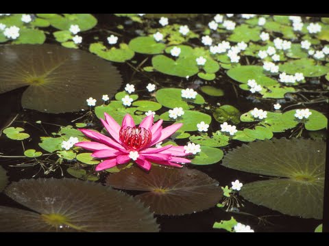 Mosaik Session 20 01 23