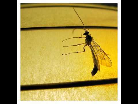 Neon Madonna - Coco, Steel & Lovebomb