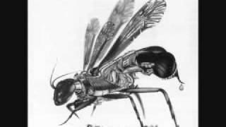 Orange 9mm   Facelift