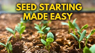 Ultimate Seed Starting Guide for Perfect Germination