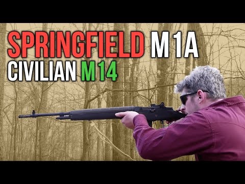 Springfield M1A: An M14 Rifle For The Rest Of Us