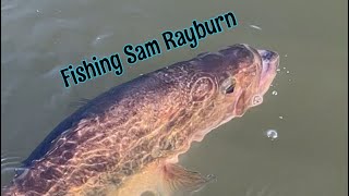 Bass FISHING with DAD on LAKE SAM RAYBURN
