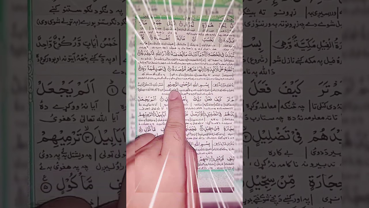 Surah Al-Fil (Alam Tara Kaifa) | Beautiful Quran Recitation | #shorts #quran #surahfil #tilawat