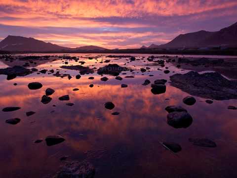 Zeljko Bebek- Tamburasi Sa Dunava