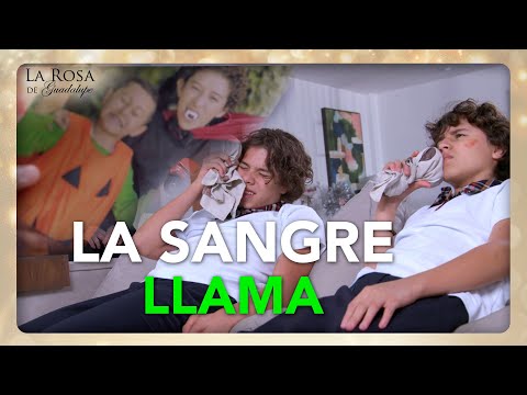 LA ROSA DE GUADALUPE | LA SANGRE LLAMA | CAPÍTULO COMPLETO 2243