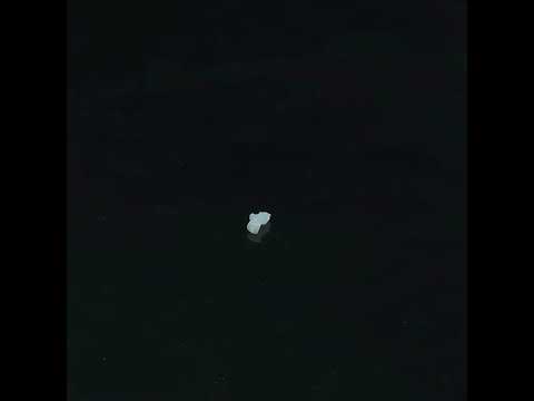 YouTube 썸네일