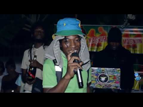 SEGGY INKK Performance