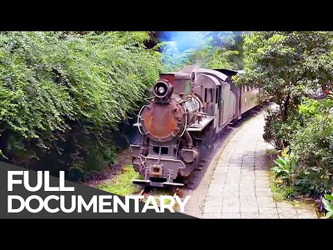 China's Last Little Train