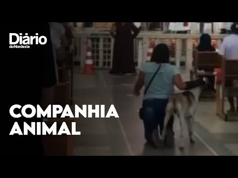 Cachorro acompanha romeira que pagava promessa em santuário de Juazeiro do Norte; veja vídeo
