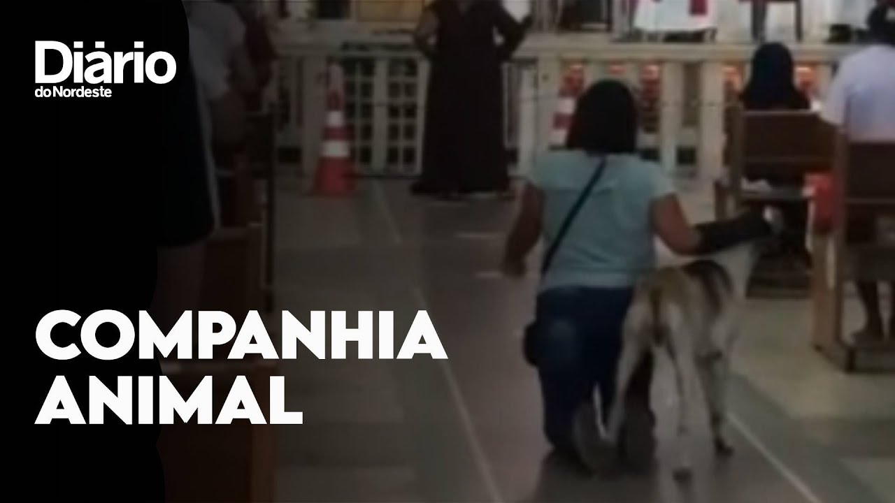 Imagem da notícia: Cachorro acompanha romeira que pagava promessa em santuário de Juazeiro do Norte; veja vídeo