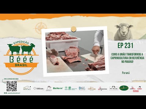 COMO A UNIÃO TRANSFORMOU A CAPRINOCULTURA EM REFERÊNCIA NO PARANÁ - EP 231