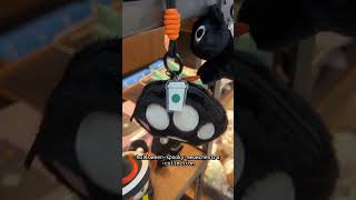 halloween spooky meowchestra collection