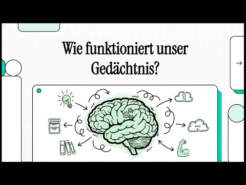 How does our memory work? | SIMPLY EXPLAINED