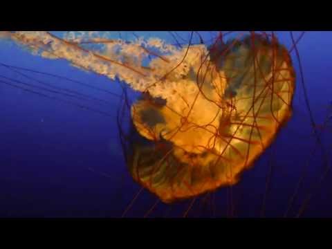 The Mike + Ruthy Band - "When The Sun Comes Around"