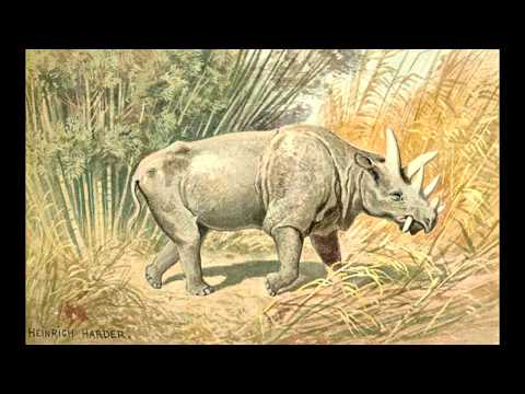 The History of paleoillustrations:Uintatherium