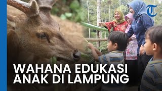 Tak Hanya Sekedar Penangkaran Rusa Timor, Tahura WAR Jadi Lokasi Wisata Edukasi untuk Anak