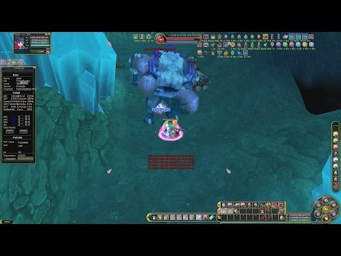 Insanity Flyff - ForceMaster Max PVE Damage