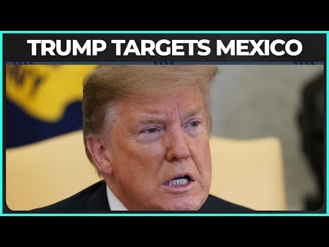 Trump Has Lost His DAMN MIND