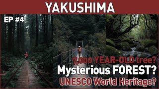 『#4』YAKUSHIMA - Tropical Island in Japan - Japan Travel Vlog