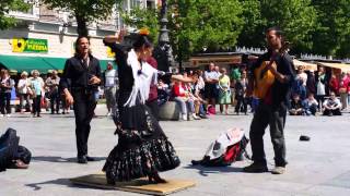 preview picture of video 'Grupo Flamenco a pie de calle (Granada Abril 14)'