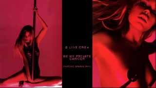 2 Live Crew  - Be my private dancer (Chrome Sparks Remix)