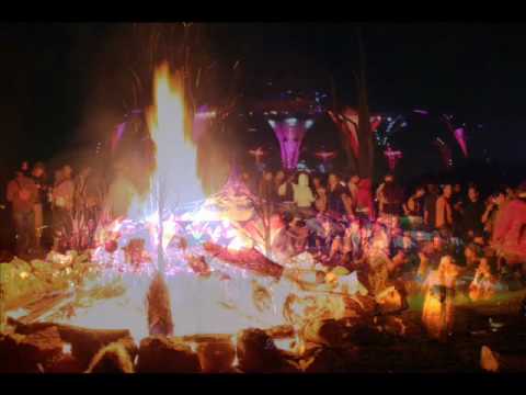 Alternative Control - Get Professional Help