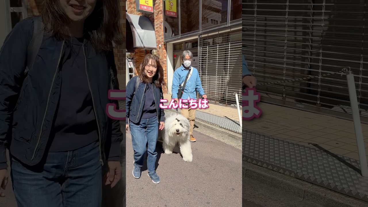 モフモフな大型犬のパピーを撮ってみた