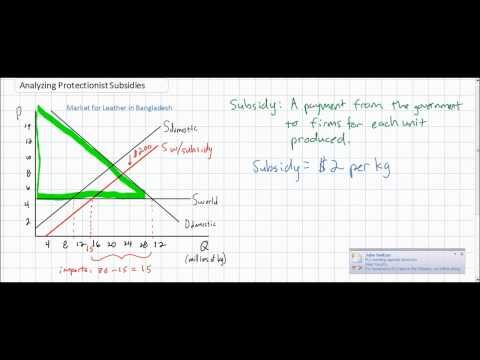 The effects of a protectionist subsidy