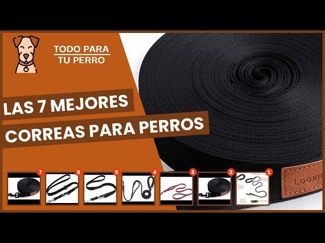 Vídeo relacionado con Roses&Poetry Correa para perros manos libres con bolsa con cremallera, correa elástica de cintura de 1,8 a 2,7 m para perros medianos y grandes que caminan, correa para correr con asas acolchadas dobl
