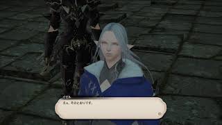 【FF14】#6 やっと蒼天編！教えて師匠！エレDC/Uni鯖