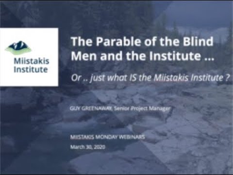 Blind Men and the Institute
