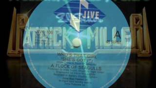 A FLOCK OF SEAGULLS - Who&#39;s that girl ( She&#39;s got it )(1985).