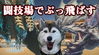 【MHW:IB】クリア後、ガルルガとジンオウガをぶっ飛ばす【バーチャルドッグ】