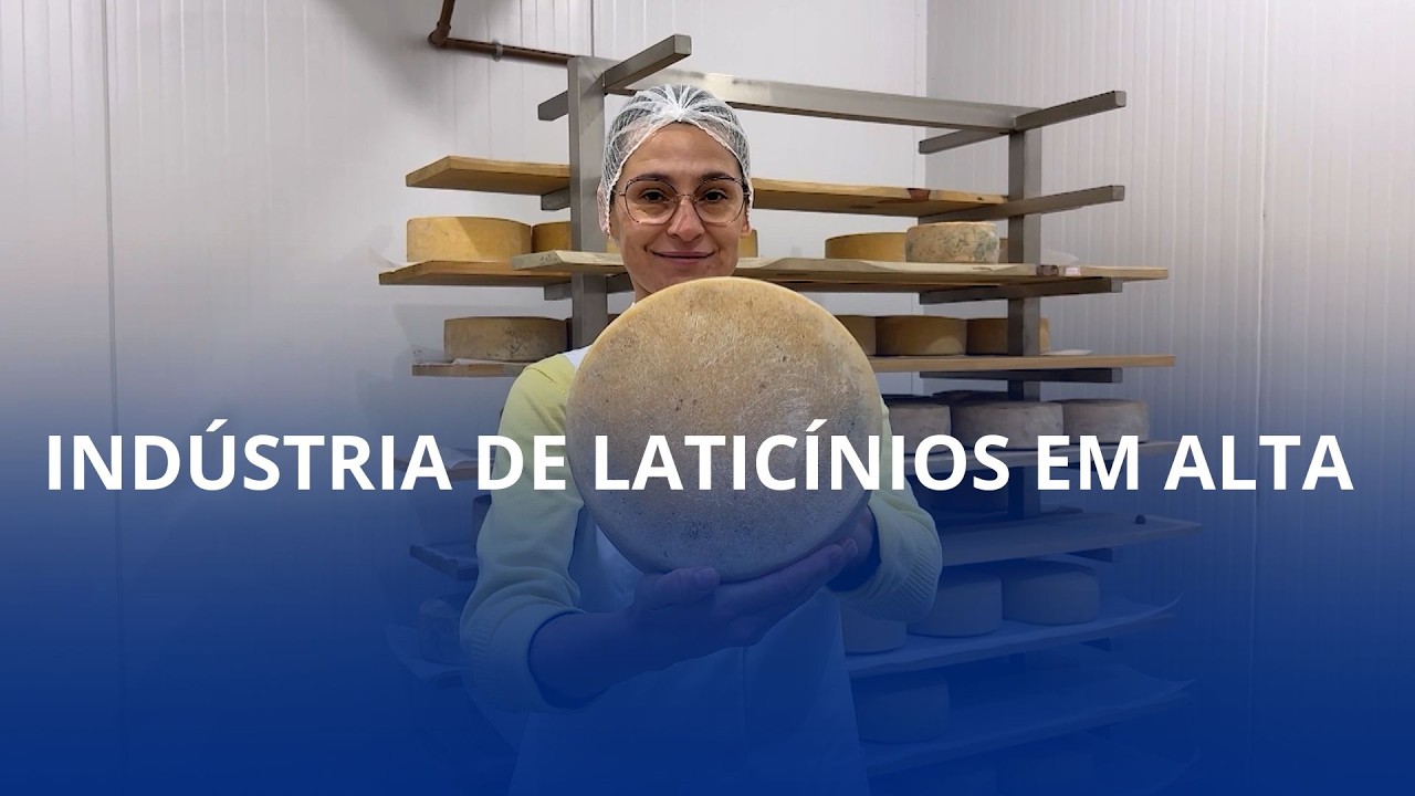 Do campo para a mesa: setor de laticínios cresce em Santa Catarina