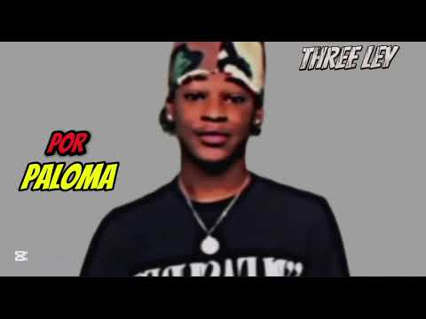 POR PALOMA x THREE LEY