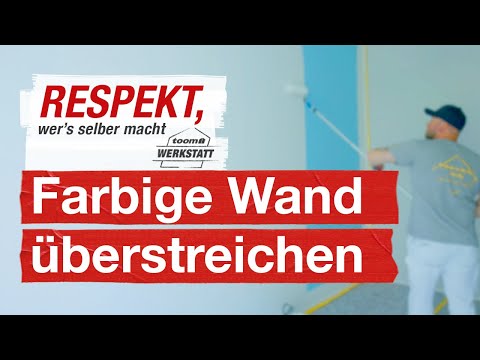 Repainting a colored wall white | toom workshop