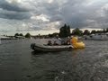 Henley Regatta POLICE GEESE PATROL fun pics