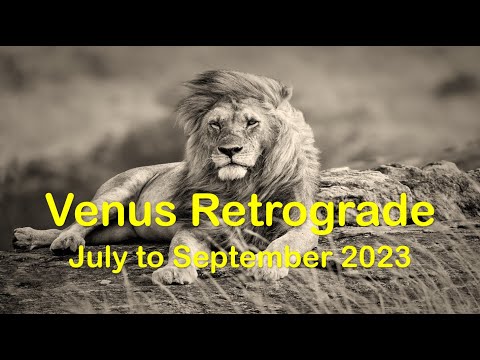 Venus Retrograde in Leo July to September 2023 for all 12 Signs