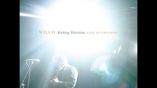 Wilco-Spiders (Kidsmoke) Kicking Television Live