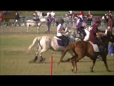 Mounted Games - Championnat de France 2013 - Finale - LES PHENOMENES. ♥