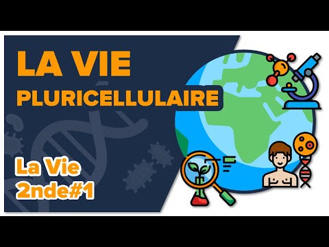 La vie pluricellulaire - SVT - LA VIE 2nde #1- Mathrix
