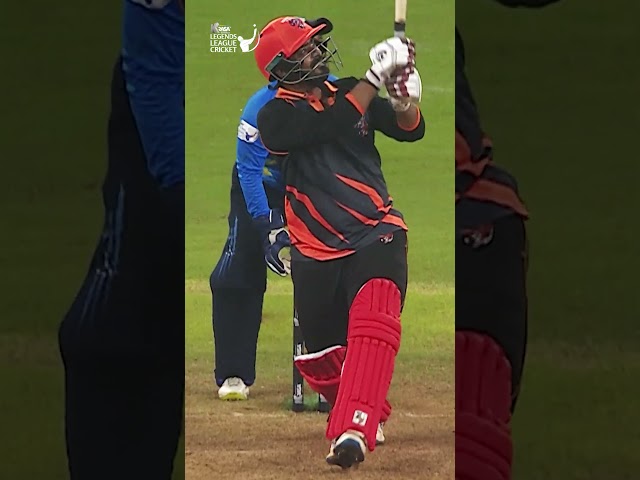 Wickets Tumbling Like Dominos! | Legends League Cricket Highlights |
