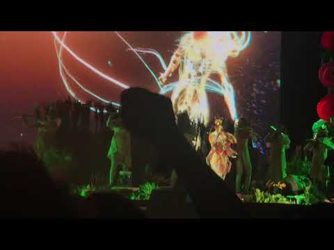 2018.06.03 - Björk - Notget @ We Love Green