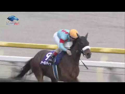 2020.11.01 Tenno Sho (Autumn)(JPN) - Almond Eye