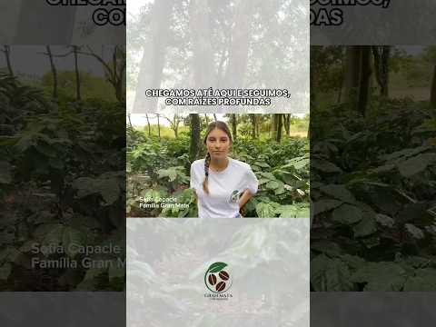 Café produzido em Itamogi (MG)