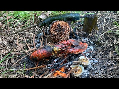 Find it cook it eat it