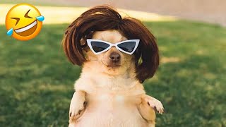 Hump Day Memes - Funny Parenting Memes - Funny Animals Pictures 🤣🐕